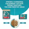 Purina One Sterilcat jautienos skonio sausas kačių maistas, 9,75 kg
