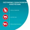 Purina One Sterilcat jautienos skonio sausas kačių maistas, 9,75 kg