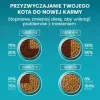 Purina One Sterilcat jautienos skonio sausas kačių maistas, 9,75 kg