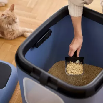 rotho Biala XL didelė plastikinė katės kraiko dėžė, mėlyna, su anglies filtru ir pakabinimo anga, 576×499×614 mm, 2,5 kg