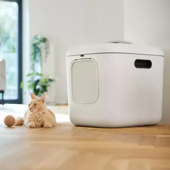 rotho Biala XL didelis plastikinis katės tualetas, baltas, su anglies filtru ir pakabinimo anga