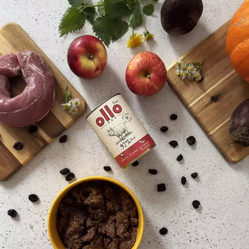 Šlapias šunų ėdalas OLLO Pure Pork 850 g