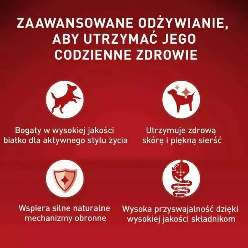 Šlapias šunų ėdalas Purina Nestlé One Mini/Small Active Beef 85 g