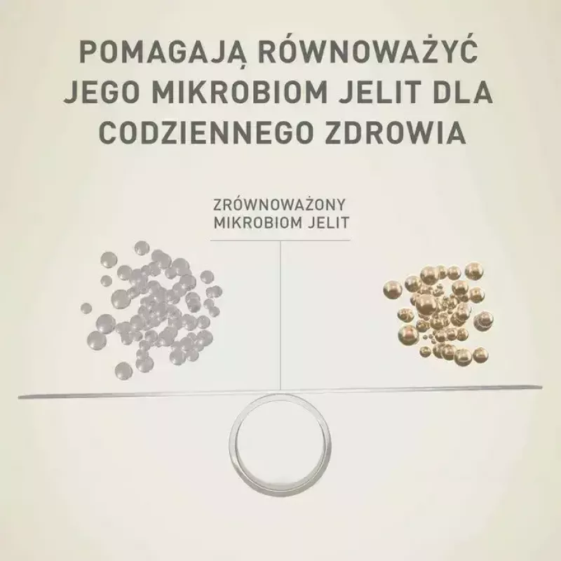 Šlapias šunų ėdalas Purina Nestlé One Mini/Small Active Beef 85 g