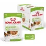 Šlapias šunų ėdalas Royal Canin X-Small Puppy Meat 85 g paketėliai, 12 x 85 g, labai mažų/mažų veislių šuniukams