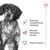 Sausas šunų ėdalas Royal Canin Medium Adult — vištiena ir kiauliena, 4 kg