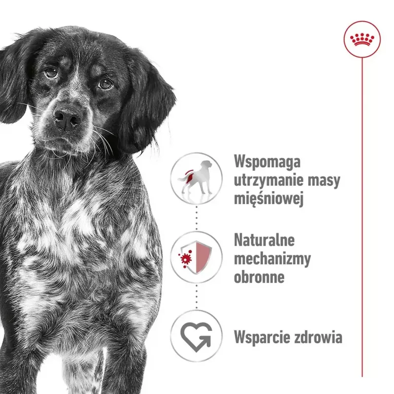 Sausas šunų ėdalas Royal Canin Medium Adult — vištiena ir kiauliena, 4 kg