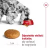 Sausas šunų ėdalas Royal Canin Medium Adult — vištiena ir kiauliena, 4 kg