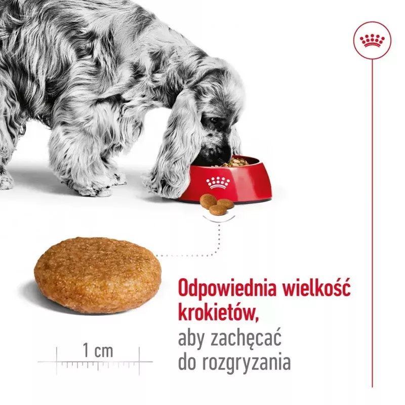 Sausas šunų ėdalas Royal Canin Medium Adult — vištiena ir kiauliena, 4 kg