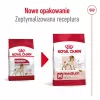 Sausas šunų ėdalas Royal Canin Medium Adult — vištiena ir kiauliena, 4 kg