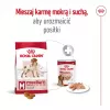 Sausas šunų ėdalas Royal Canin Medium Adult — vištiena ir kiauliena, 4 kg