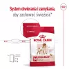 Sausas šunų ėdalas Royal Canin Medium Adult — vištiena ir kiauliena, 4 kg