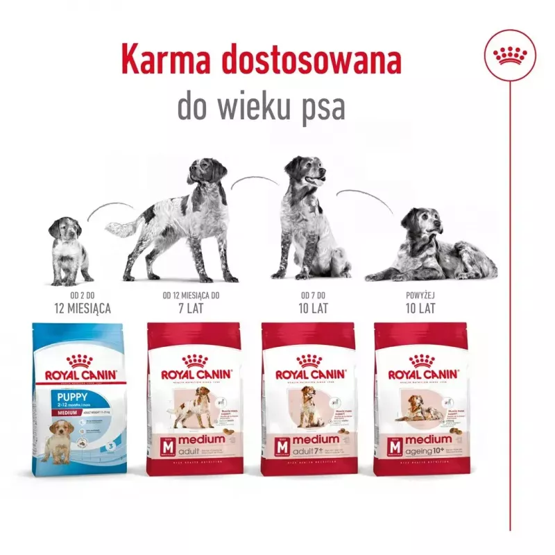 Sausas šunų ėdalas Royal Canin Medium Adult — vištiena ir kiauliena, 4 kg