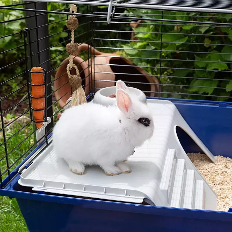 Narvas FERPLAST Rabbit 120 Blue — metalinis ir plastikinis triušių narvas 1180×585×495 mm, tinka triušiams 5–9,9 kg