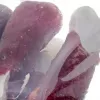Kramtomas kaulas šunims MACED Presuotas kaulas su antimi 500 g – vieno ingrediento dantų priežiūros skanėstas