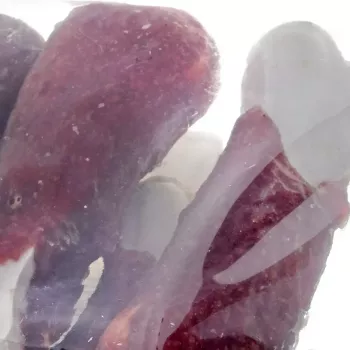 Kramtomas kaulas šunims MACED Presuotas kaulas su antimi 500 g – vieno ingrediento dantų priežiūros skanėstas