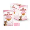 Royal Canin Feline Health Nutrition Kitten Sterilised drėgnas pašaras, 12 x 85 g