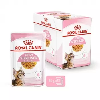 Šlapias kačių ėdalas Royal Canin Feline Health Nutrition Sterilized Chicken 12 x 85 g (Suaugusioms, 1–1,9 kg)