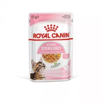 Šlapias kačių ėdalas Royal Canin Feline Health Nutrition Sterilized Chicken 12 x 85 g (Suaugusioms, 1–1,9 kg)