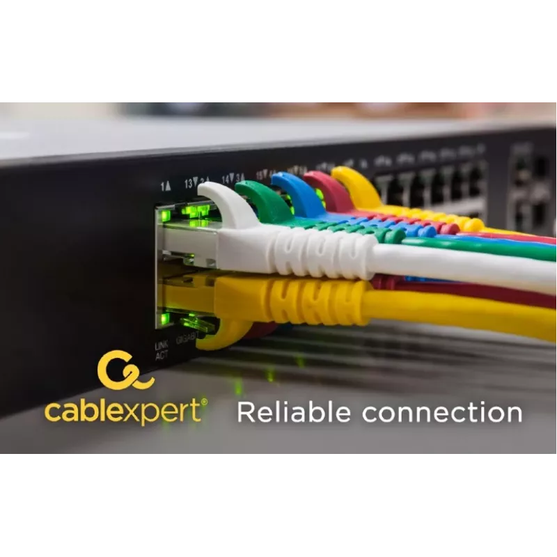 Tinklo kabelis Gembird PP6A-LSZHCU-20M RJ-45 Cat6a 20m Pilka