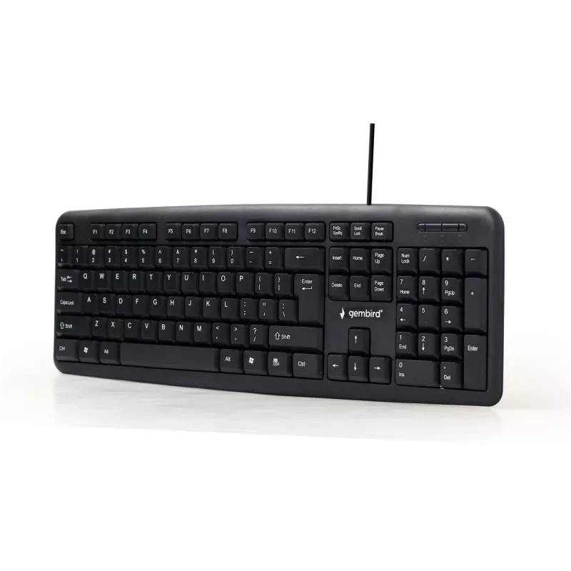 GEMBIRD KB-U-103 standartinė klaviatūra, laidinė USB, juoda, QWERTY US/Int