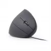 GEMBIRD MUS-ERGO-01 Optinė pelė – ergonominė, 6 mygtukai, USB, juoda