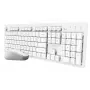 Trust Ody II belaidė klaviatūra ir pelė, RF, QWERTY, balta