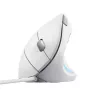 Trust Verto vertikali pelė Office, dešinei rankai, USB Type-A, optinė, 1600 DPI