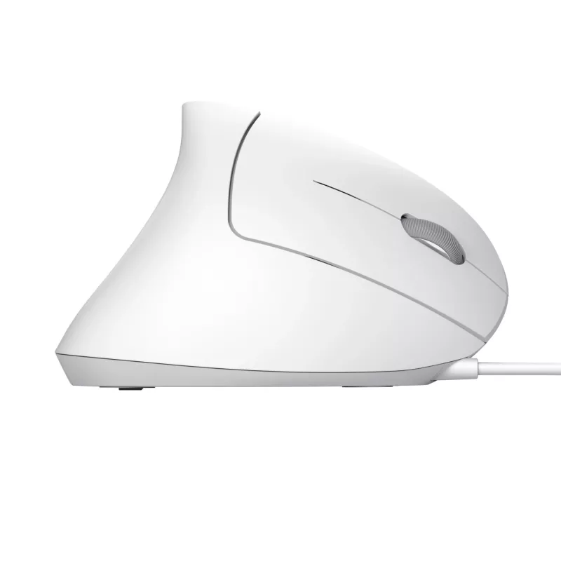 Trust Verto vertikali pelė Office, dešinei rankai, USB Type-A, optinė, 1600 DPI