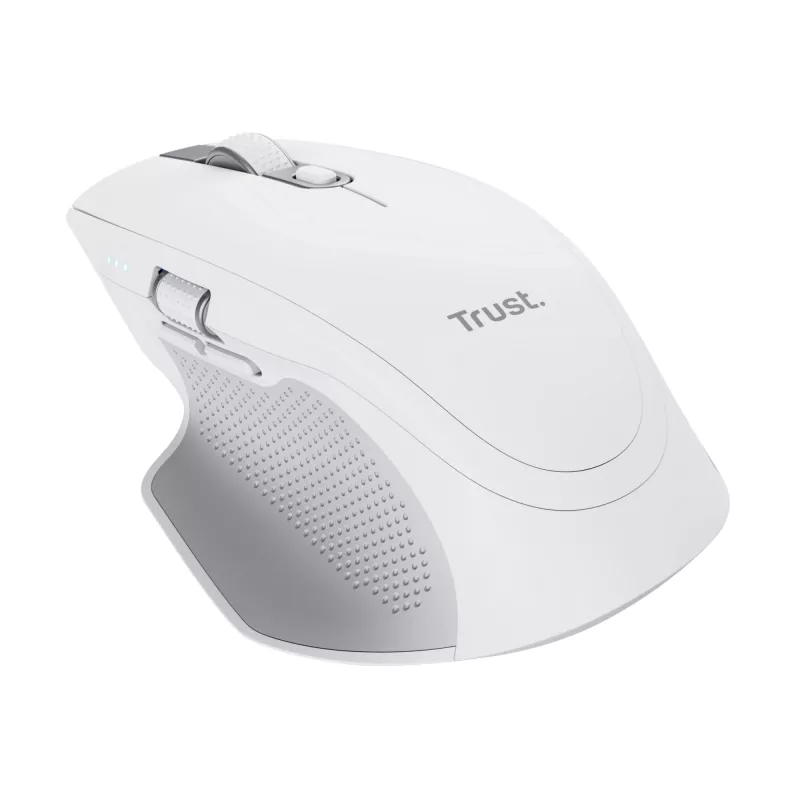 Trust Ozaa+ pelė biurui, dešinei rankai, RF belaidė + Bluetooth, optinė, 3200 DPI