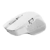 Trust Ozaa+ pelė biurui, dešinei rankai, RF belaidė + Bluetooth, optinė, 3200 DPI