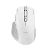 Trust Ozaa+ pelė biurui, dešinei rankai, RF belaidė + Bluetooth, optinė, 3200 DPI