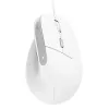 Trust Bayo II vertikali pelė, dešinei rankai, USB Type-A, optinė, 2400 DPI