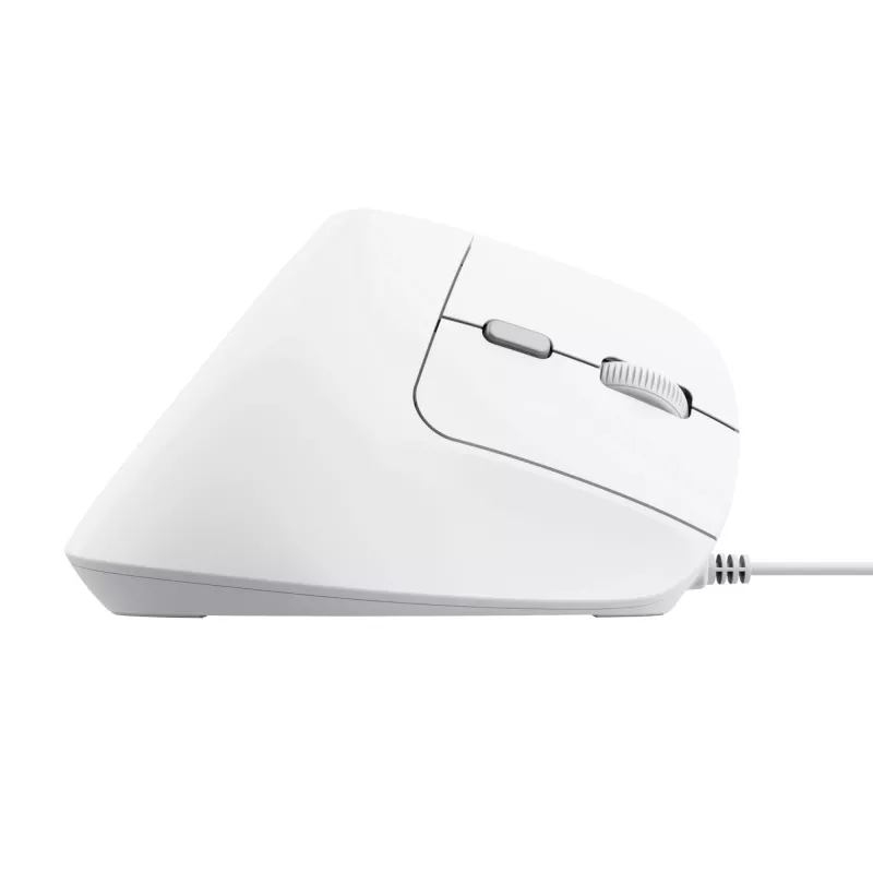 Trust Bayo II vertikali pelė, dešinei rankai, USB Type-A, optinė, 2400 DPI