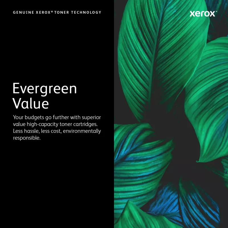 Xerox Black Standard Capacity Toner kasetė (1500 puslapių), juoda, 1 vnt.