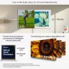 Televizorius Samsung QE65LS03FAUXXH 65 colių The Frame QLED 4K HDR Smart TV, 3840×2160, Tizen, 120 Hz