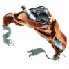 DEUTER Hip Sachet Pulse 3 juosmens krepšys su reguliuojamu diržu