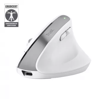 Trust Bayo+ pelė, biuro, dešinei rankai, RF belaidė + Bluetooth, optinė, 2400 DPI