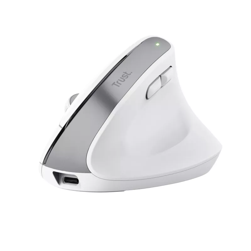 Trust Bayo+ pelė, biuro, dešinei rankai, RF belaidė + Bluetooth, optinė, 2400 DPI