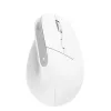 Trust Bayo+ pelė, biuro, dešinei rankai, RF belaidė + Bluetooth, optinė, 2400 DPI