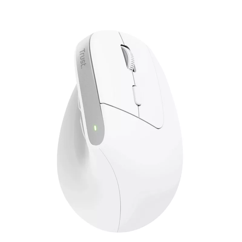 Trust Bayo+ pelė, biuro, dešinei rankai, RF belaidė + Bluetooth, optinė, 2400 DPI