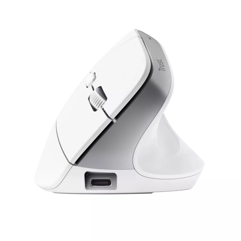 Trust Bayo+ pelė, biuro, dešinei rankai, RF belaidė + Bluetooth, optinė, 2400 DPI