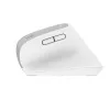 Trust Bayo+ pelė, biuro, dešinei rankai, RF belaidė + Bluetooth, optinė, 2400 DPI