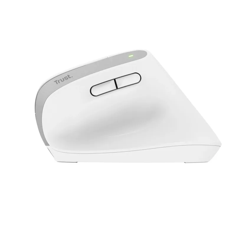 Trust Bayo+ pelė, biuro, dešinei rankai, RF belaidė + Bluetooth, optinė, 2400 DPI