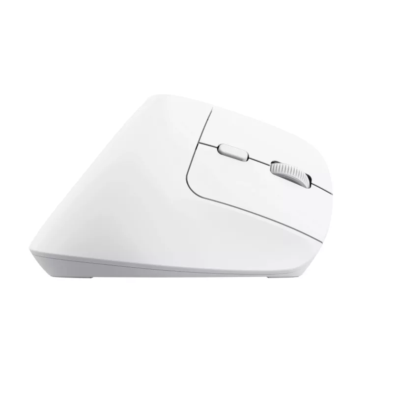 Trust Bayo+ pelė, biuro, dešinei rankai, RF belaidė + Bluetooth, optinė, 2400 DPI