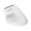 Trust Bayo+ pelė, biuro, dešinei rankai, RF belaidė + Bluetooth, optinė, 2400 DPI