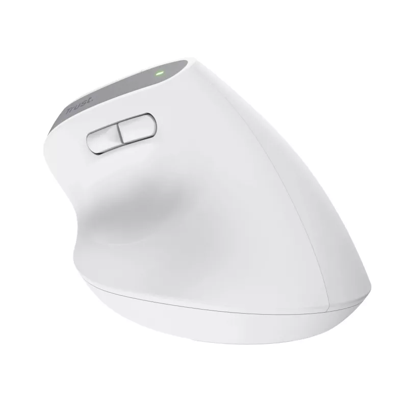 Trust Bayo+ pelė, biuro, dešinei rankai, RF belaidė + Bluetooth, optinė, 2400 DPI