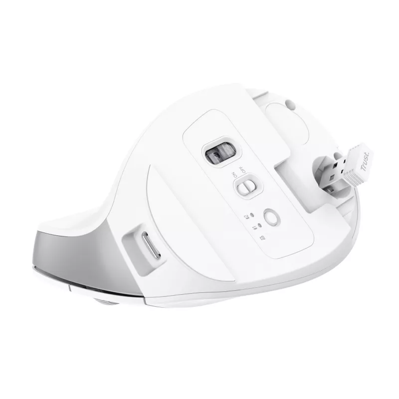 Trust Bayo+ pelė, biuro, dešinei rankai, RF belaidė + Bluetooth, optinė, 2400 DPI