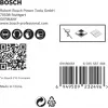 Bosch Expert 2 608 900 597 gręžtų rinkinys 5 vnt