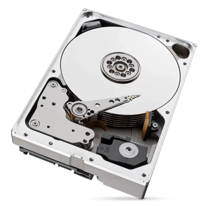 Seagate IronWolf Pro ST10000NT001 vidinis kietasis diskas 10 TB 7200 RPM 256 MB 3,5 colio Serial ATA III